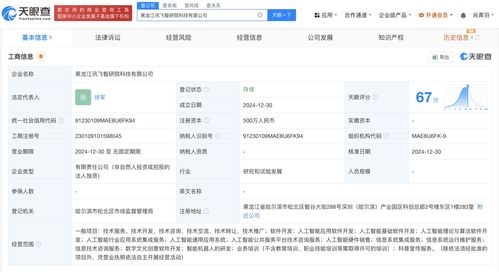 科大訊飛在黑龍江成立智研院科技公司，布局AI基礎軟件開發新藍圖